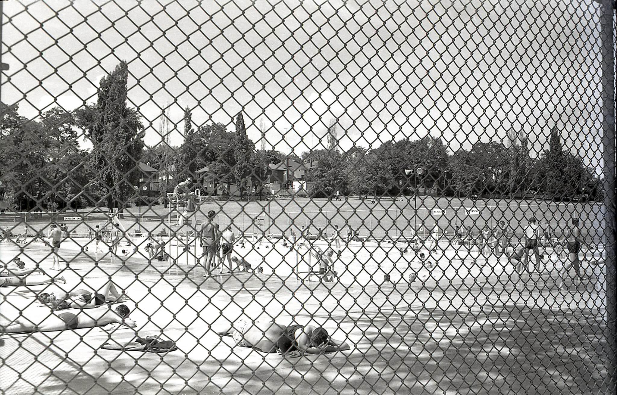 The pool at Eglinton Park, 1960s. This view looking northwest, across the pool, towards the backs of houses on the east side of Oriole Parkway (north of Eglinton).