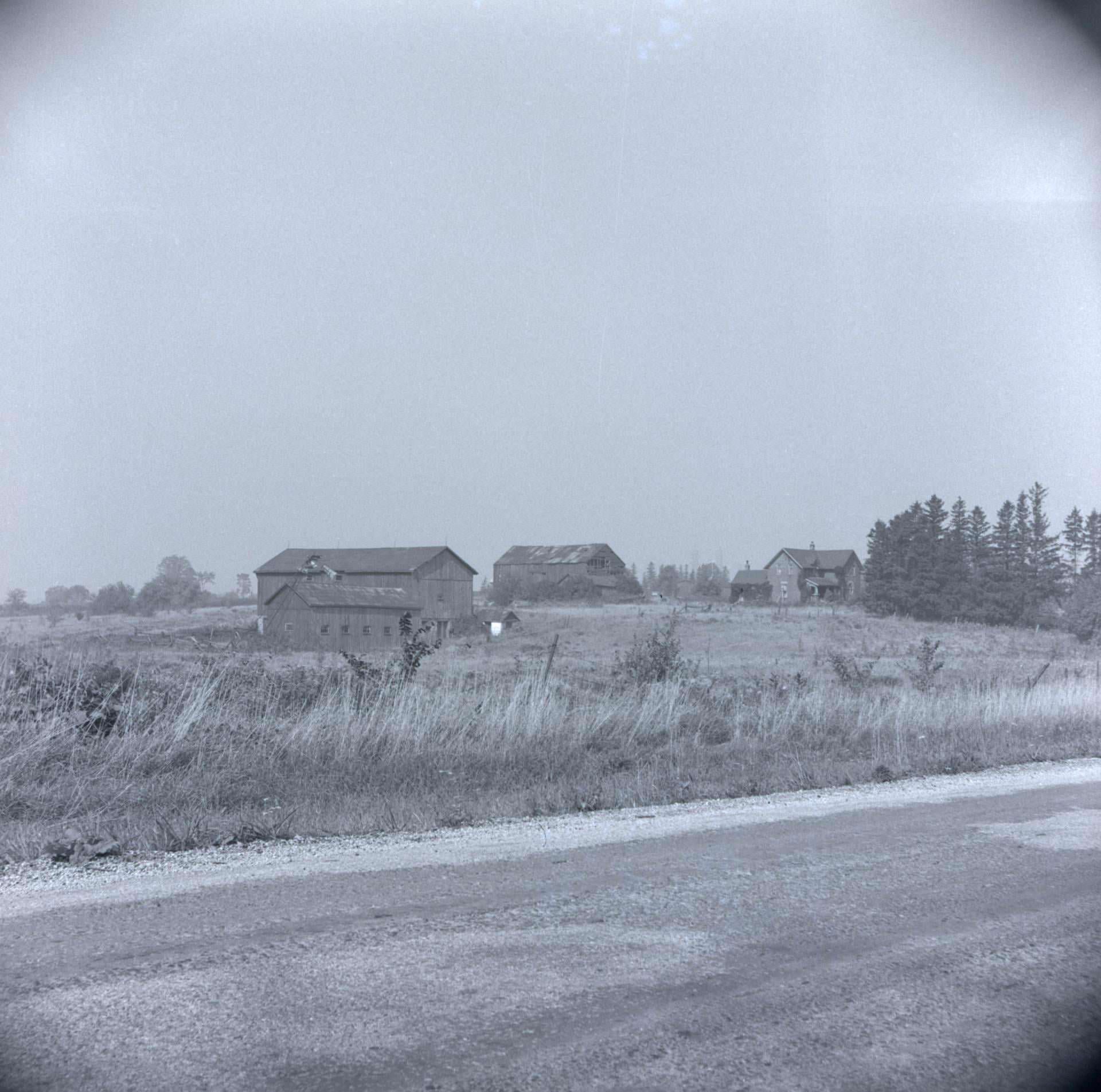Victoria Park Avenue, looking northwest to the farm of Arthur Hill, southwest corner of Victoria Park Avenue and Old Finch Avenue, 1955