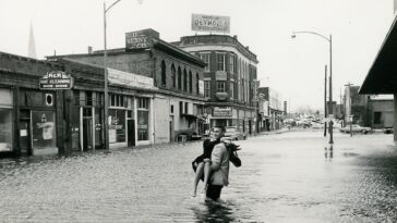 Norfolk 1960s