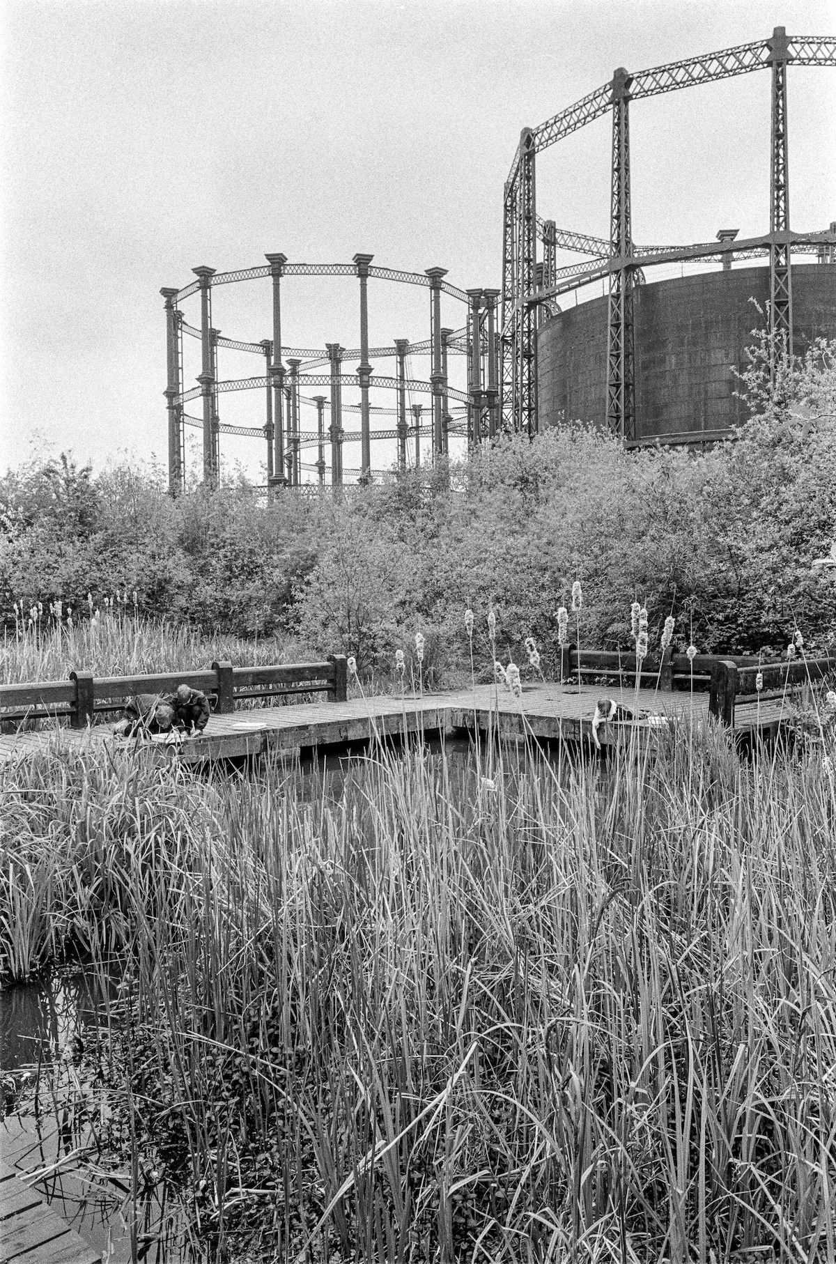 Gasholders, Camley St Natural Park, 1991