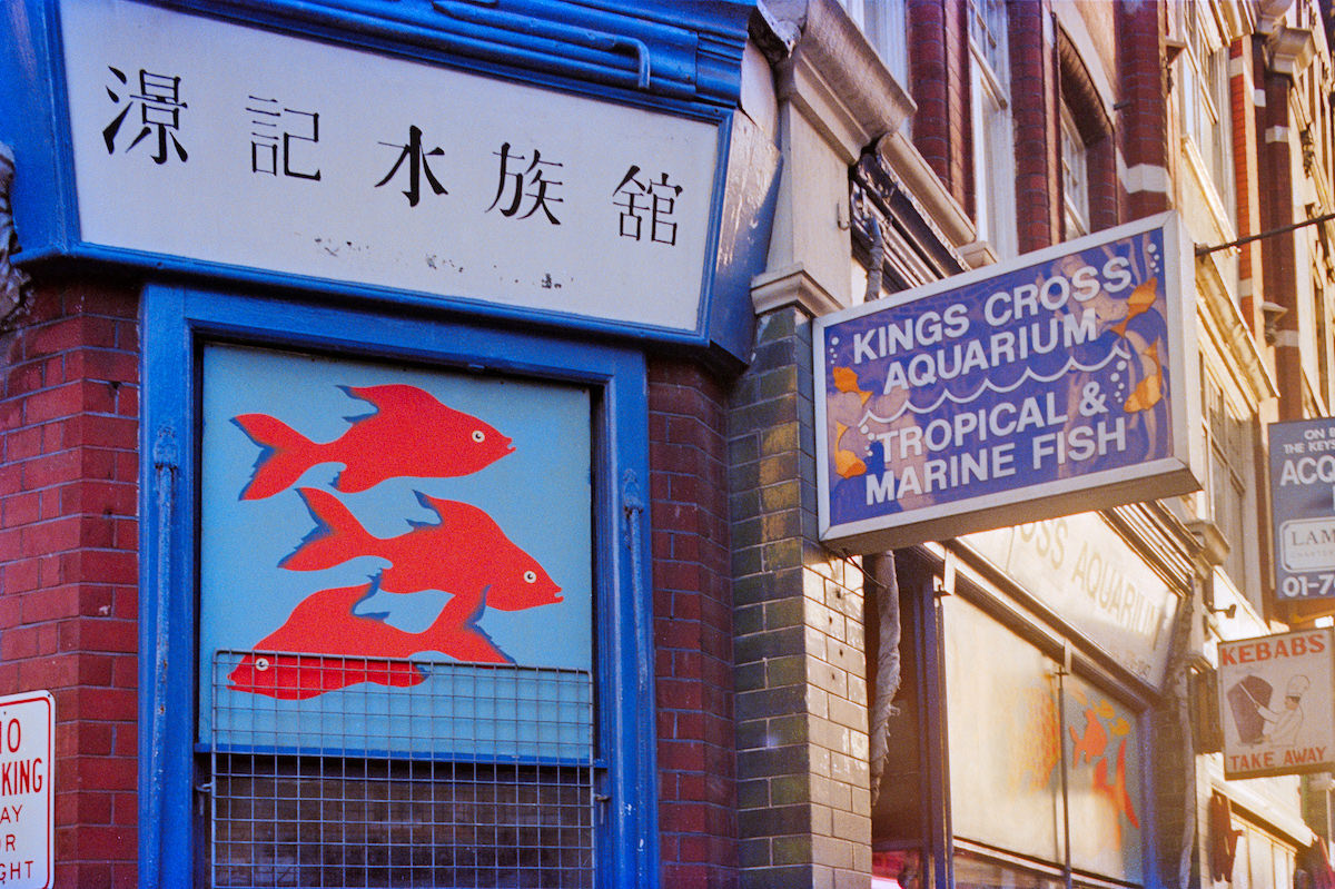 Kings Cross Aquarium, Caledonian Rd, Pentonville, Islington, 1990