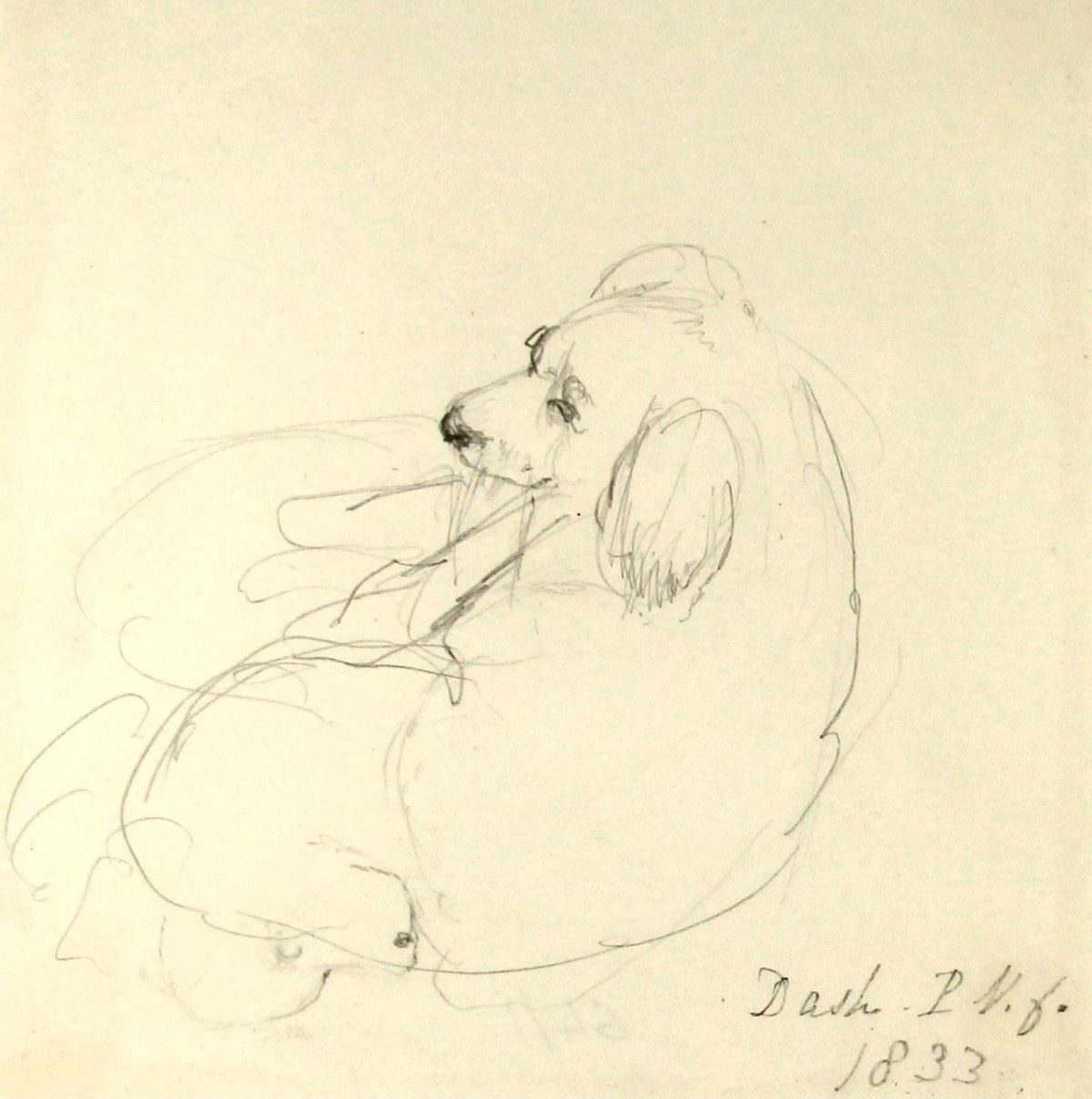 Pencil drawing of Princess Victoria’s favourite dog, by Princess Victoria.