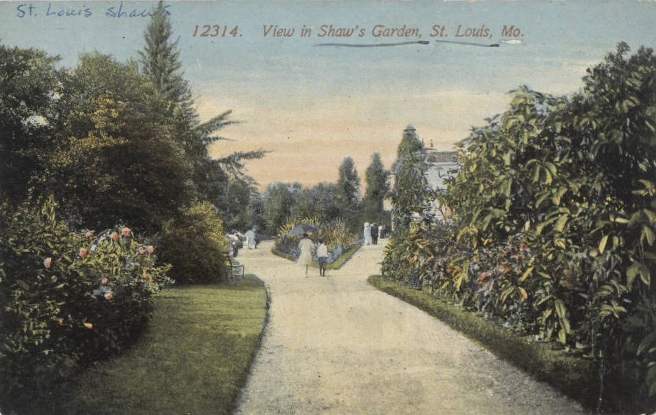 A view in Shaw's Garden, St. Louis, 1910