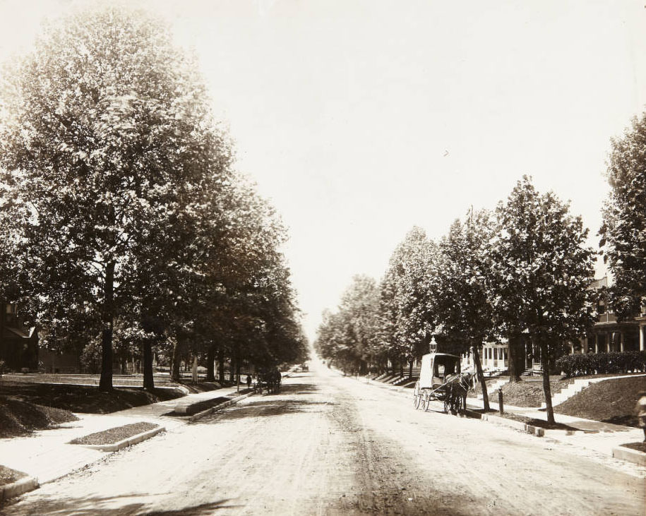 A horse pulls a carriage along the 5300 block of Clara Avenue, 1915