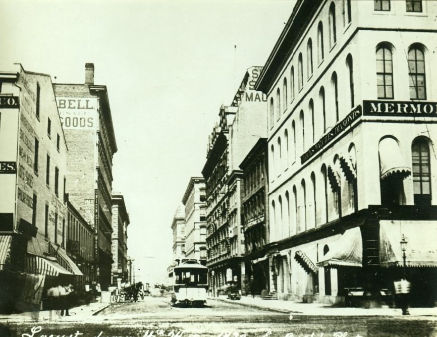 Locust. From 4th West, 1870