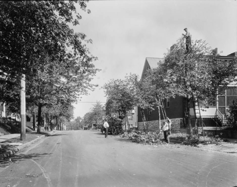 Looking north on Arkansas Avenue from Magnolia in the Tower Grove East neighborhood, 1925