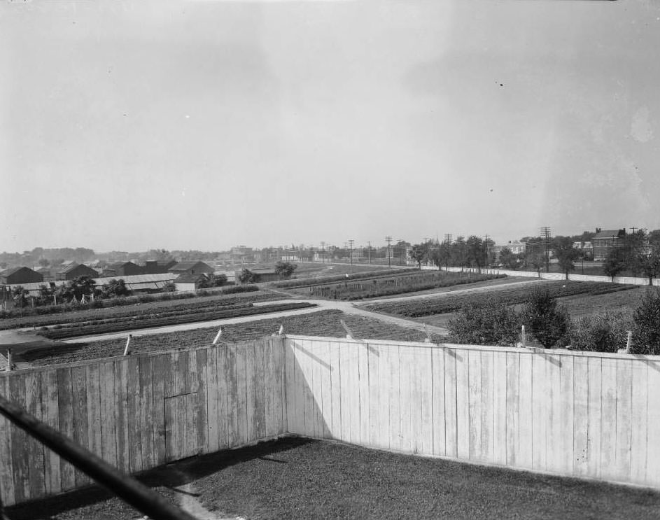 South Broadway from Meramec Street, 1925