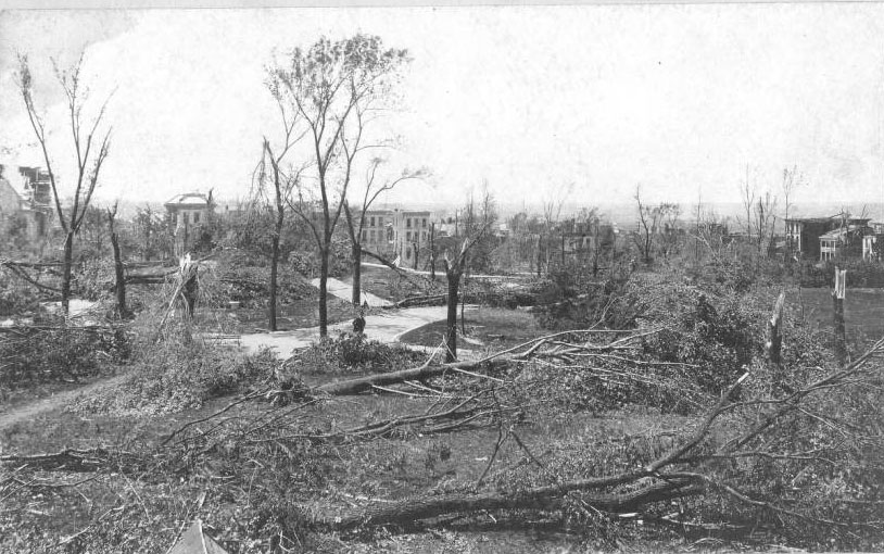 One man stands among the destroyed trees of the park. The tornado did some of its worst damage in this neighborhood; the park did not recover for many decades.