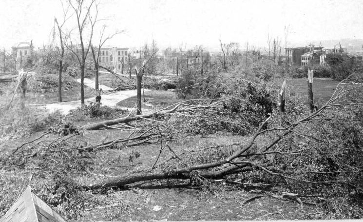One man stands among the destroyed trees of the park. The tornado did some of its worst damage in this neighborhood; the park did not recover for many decades.