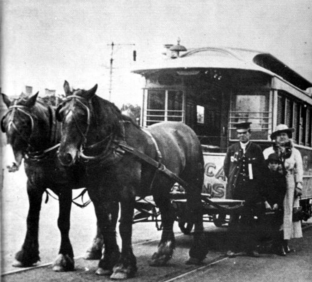 Melbourne Tramway and Omnibus Company horse tram No 43, Royal Park Zoo service, with driver Mr Richardson of West Brunswick, 1915.