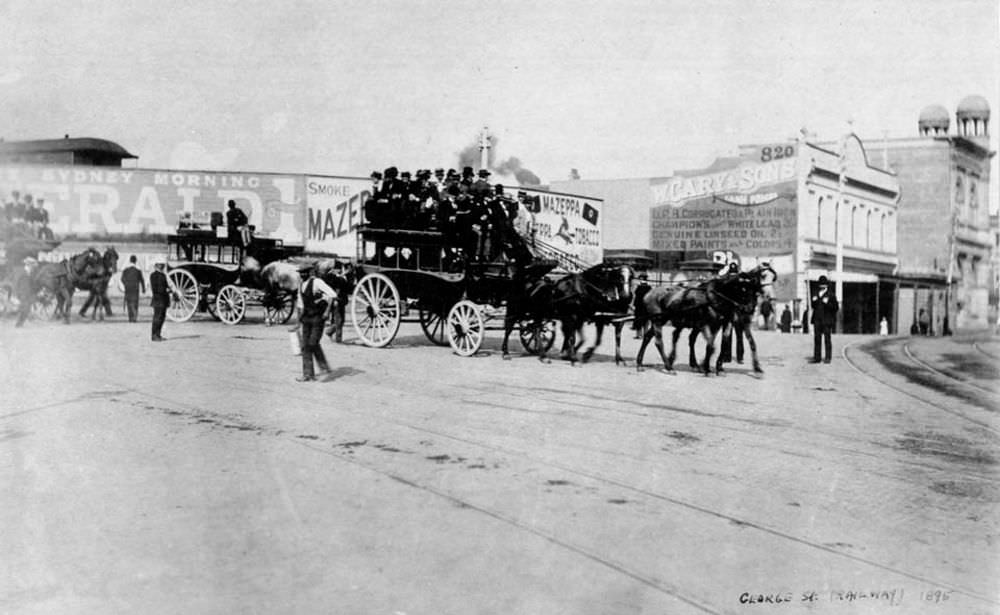 Horse buses outside the old Sydney Railway Station, corner of Devonshire and George streets, 1895.