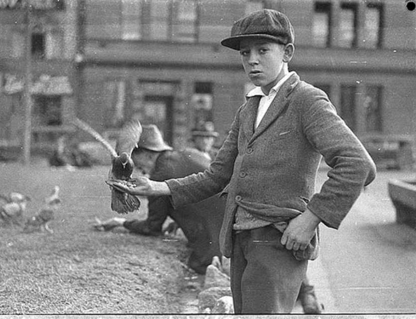 Stunning Photos of Australian Children having Fun in the 1930s