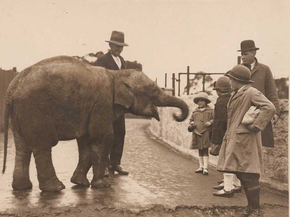 Stunning Photos of Australian Children having Fun in the 1930s