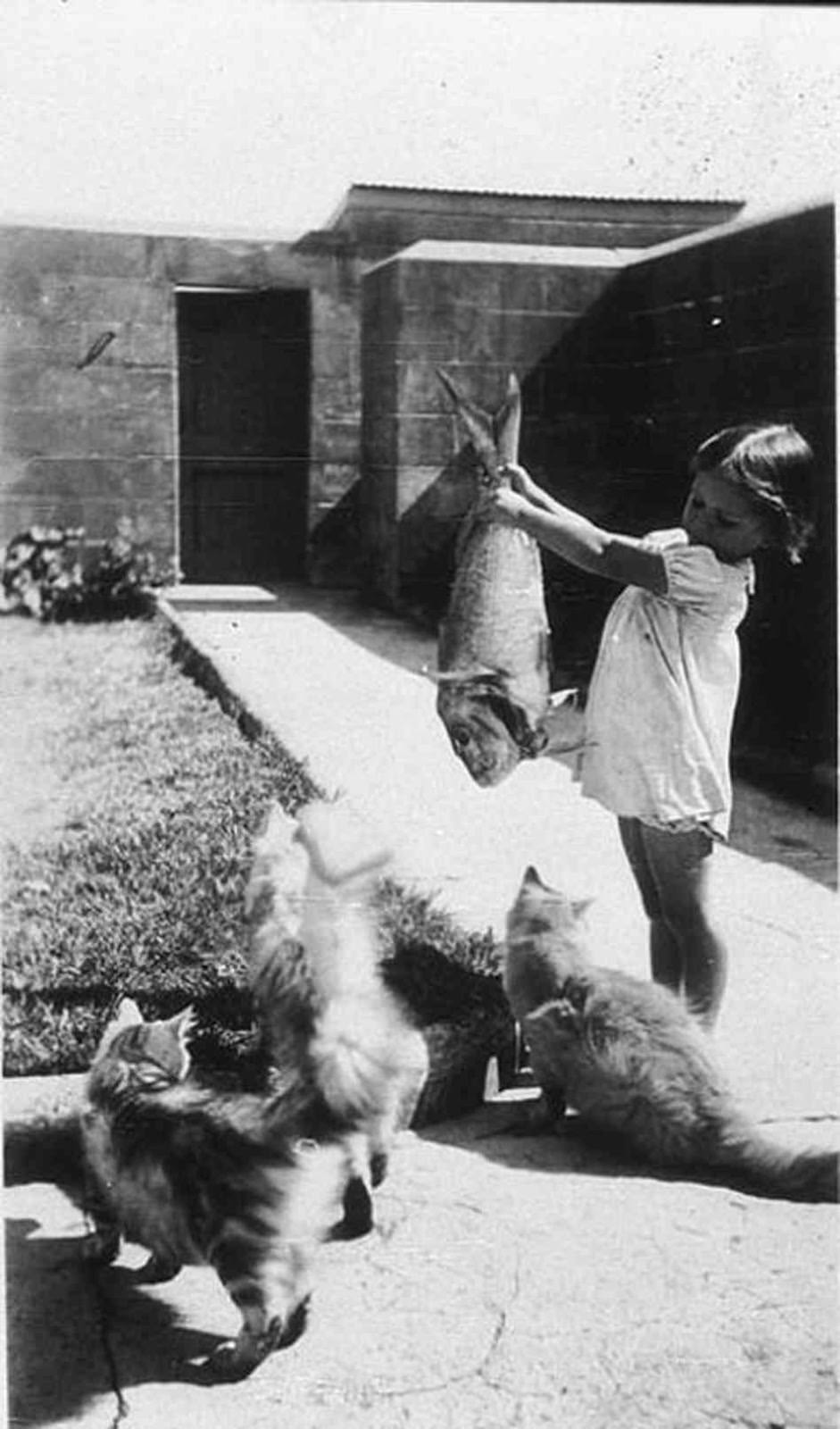 Stunning Photos of Australian Children having Fun in the 1930s