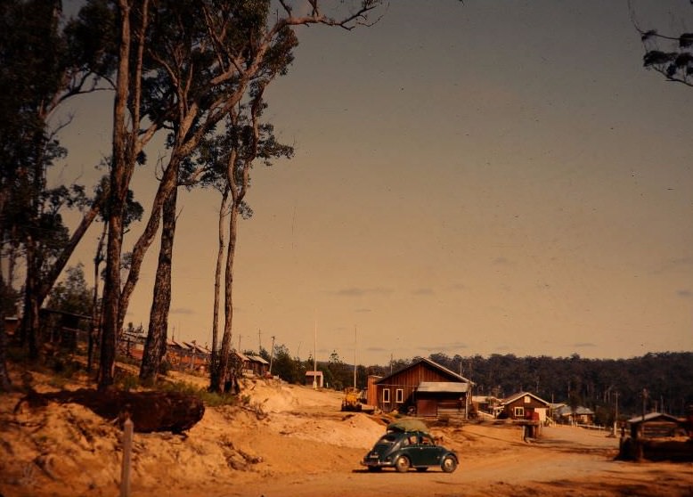 Shannon River, WA Southern area of the state, Sept 1963