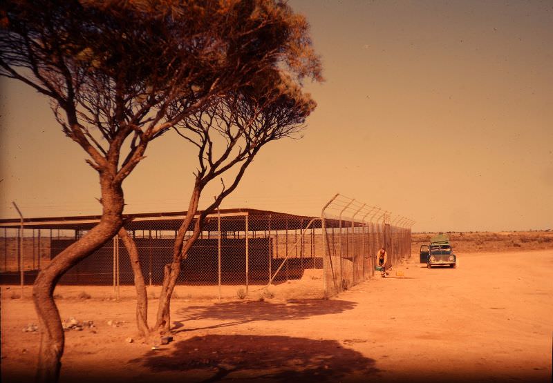 Filling up water bottles near Gi-Gi on old Eyre Highway, Oct 1963