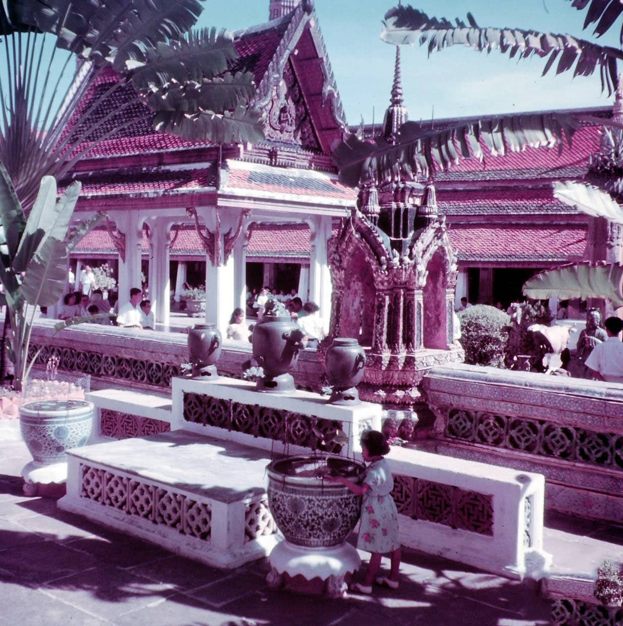 What Bangkok, Thailand looked like in the 1950s Through These Fascinating Vintage Photos