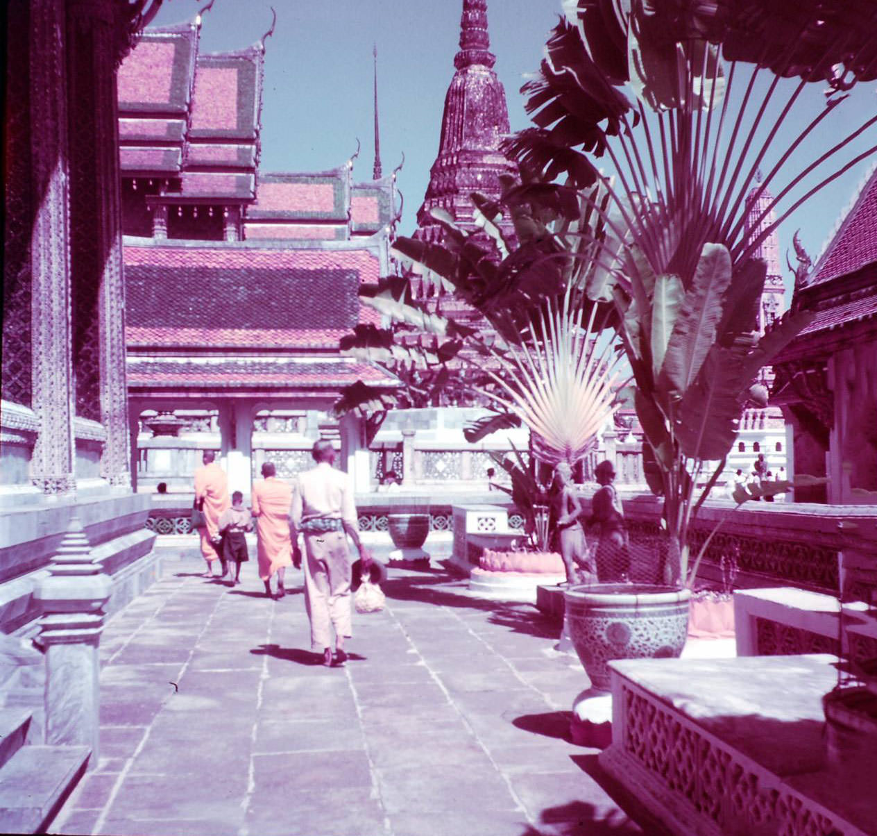 What Bangkok, Thailand looked like in the 1950s Through These Fascinating Vintage Photos