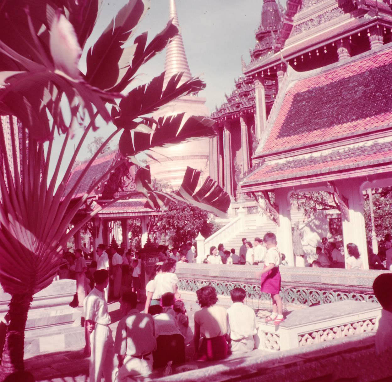 What Bangkok, Thailand looked like in the 1950s Through These Fascinating Vintage Photos