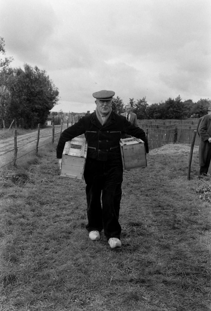 Buzzing with Activity: Captivating Images of a Bee Market in the Netherlands, 1956