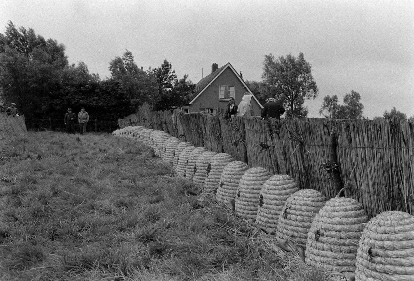 Buzzing with Activity: Captivating Images of a Bee Market in the Netherlands, 1956