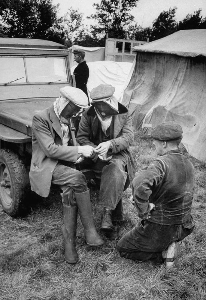 Buzzing with Activity: Captivating Images of a Bee Market in the Netherlands, 1956