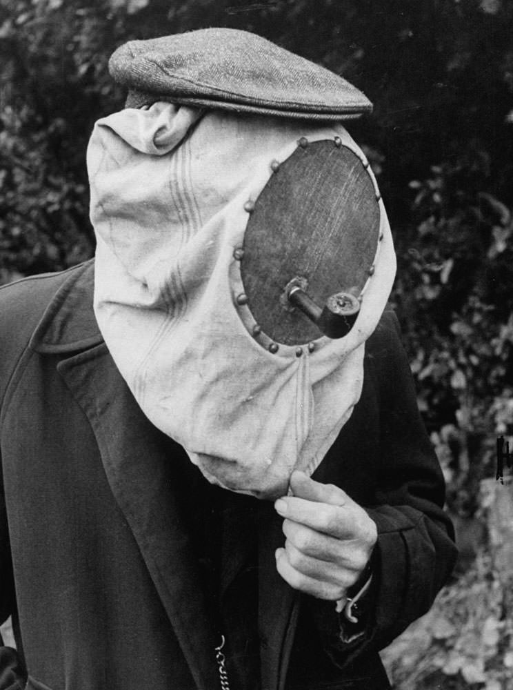 Buzzing with Activity: Captivating Images of a Bee Market in the Netherlands, 1956