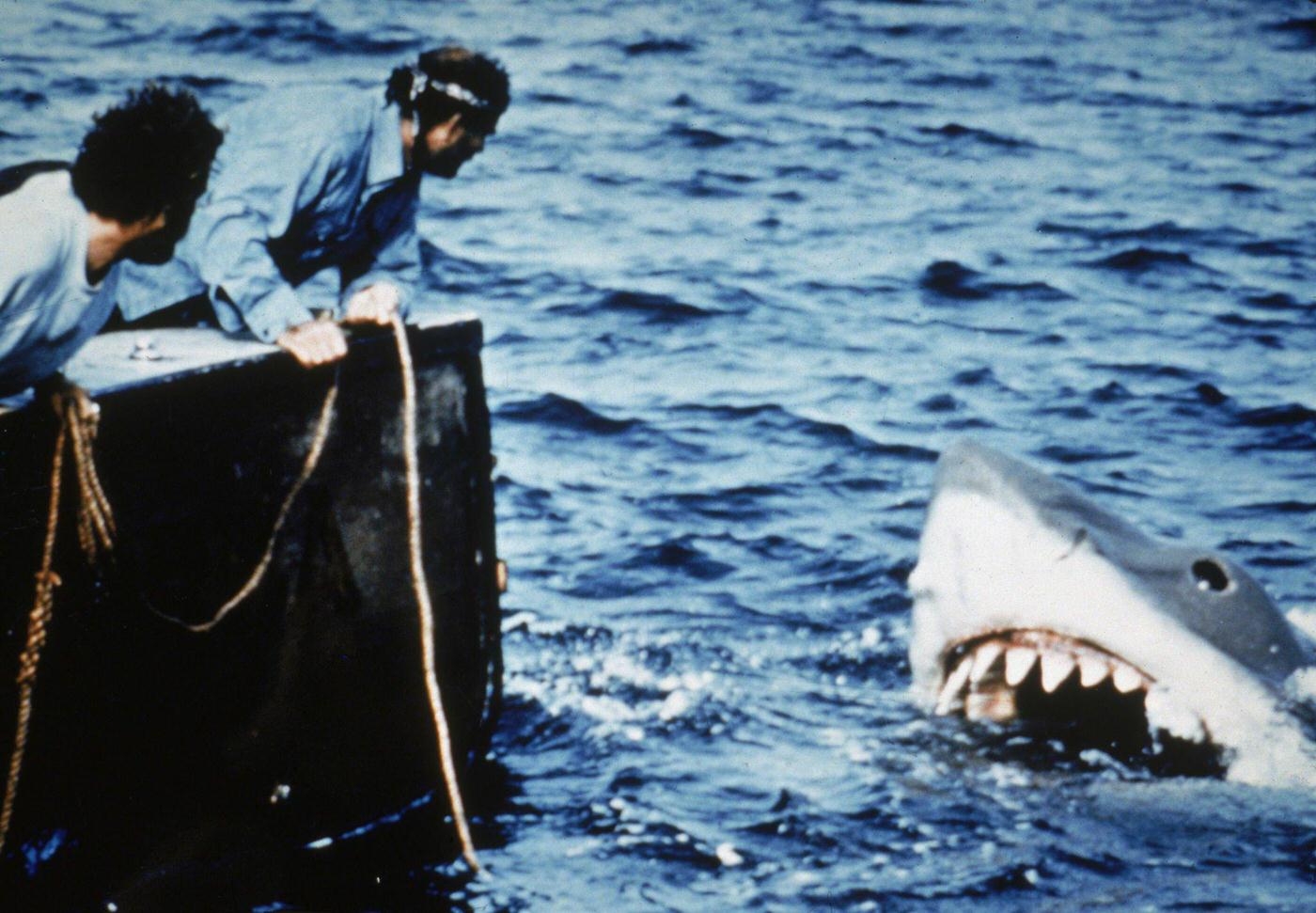 Richard Dreyfuss and Robert Shaw lean off the back of their boat, holding ropes as they watch the giant Great White shark emerge from the water in a still from the film, 'Jaws,' 1975