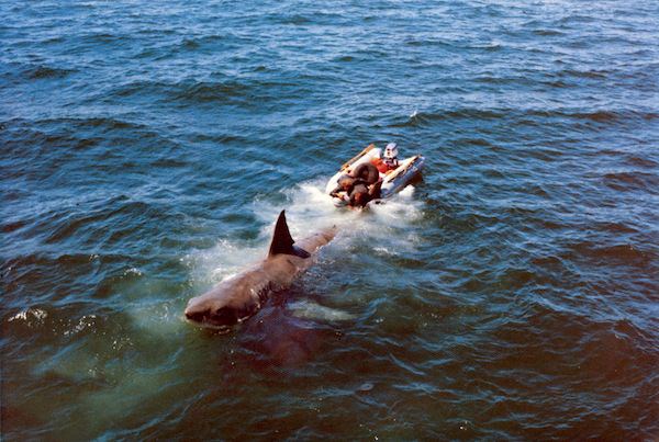 Behind the Scenes of Jaws: The Making of a Hollywood Classic