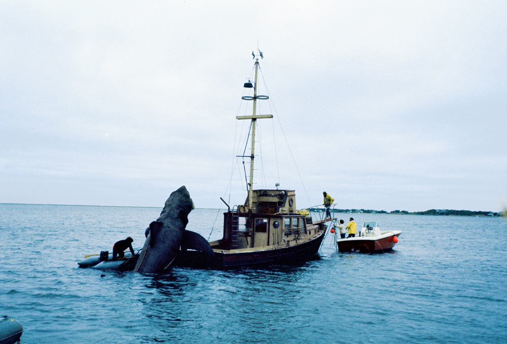 Behind the Scenes of Jaws: The Making of a Hollywood Classic