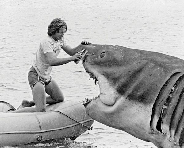 Behind the Scenes of Jaws: The Making of a Hollywood Classic