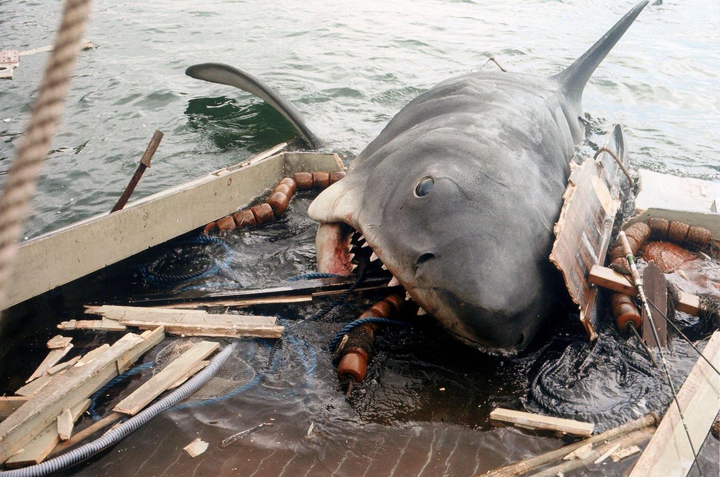 On the set of Jaws, directed by Steven Spielberg.