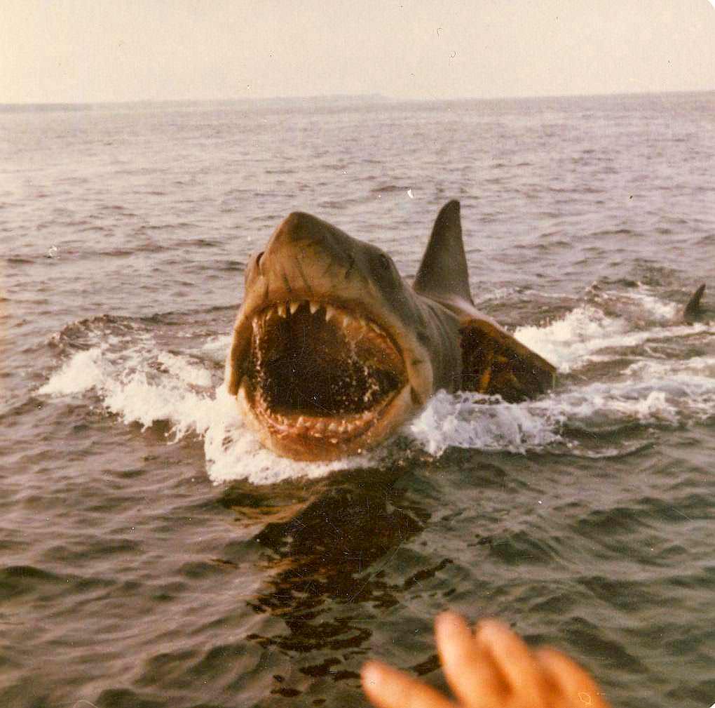 Behind the Scenes of Jaws: The Making of a Hollywood Classic