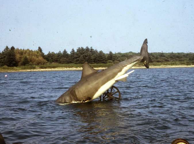 Behind the Scenes of Jaws: The Making of a Hollywood Classic