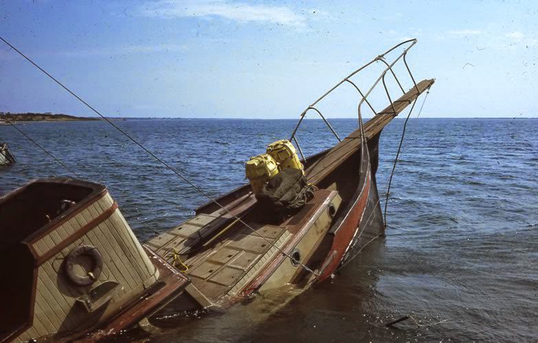 Behind the Scenes of Jaws: The Making of a Hollywood Classic