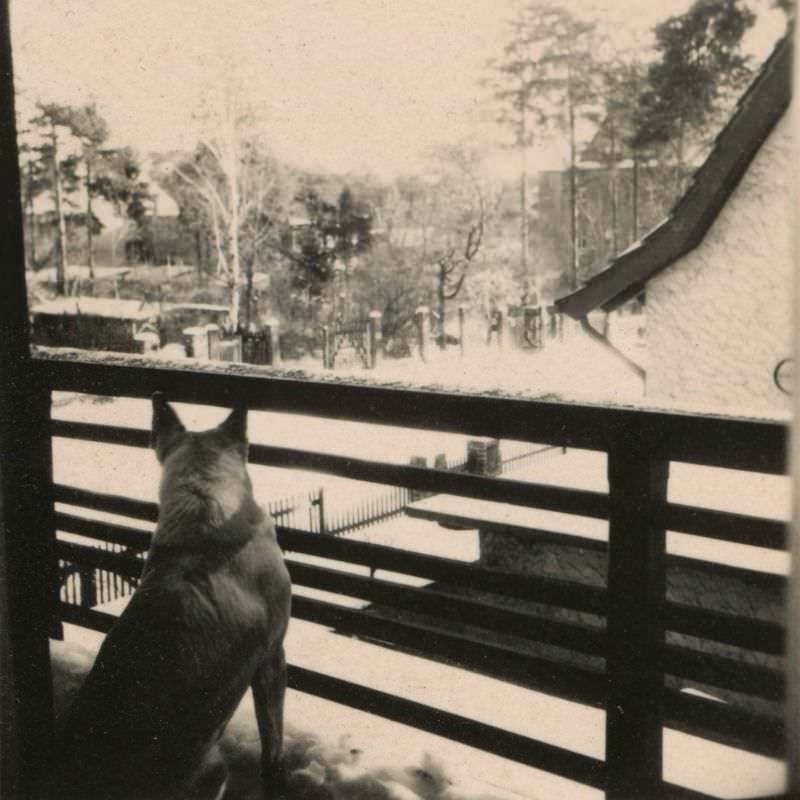 View from Helga’s room, Berlin House, 6 Hermannstraße, Zehlendorf, Berlin, Germany, 1940s