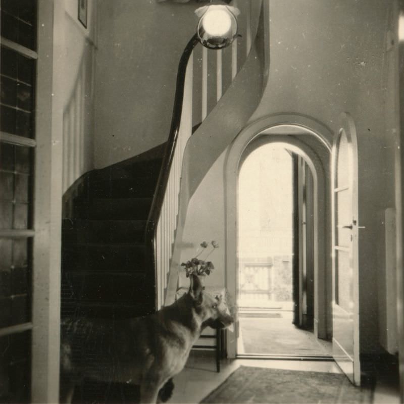 Dog at stairs, Helga's Berlin House, 6 Hermannstraße, Zehlendorf, Berlin, Germany, 1940s