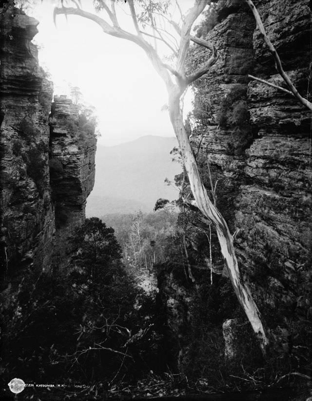 The Glen, Katoomba, New South Wales, 1900