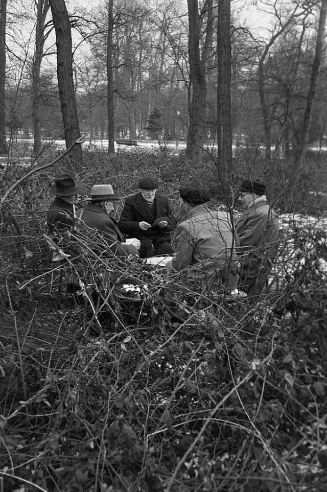 A group of elderly men playing cards in the woods despite the cold.
