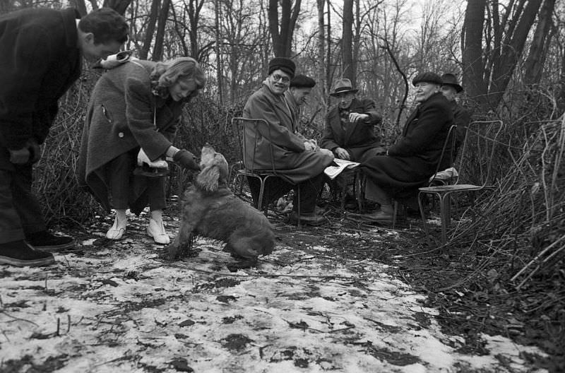 A group of elderly men playing cards in the woods whilte a young couple stroking their dog.