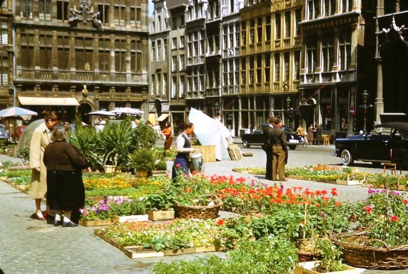 Flower Market, La Grand Place, May 1950