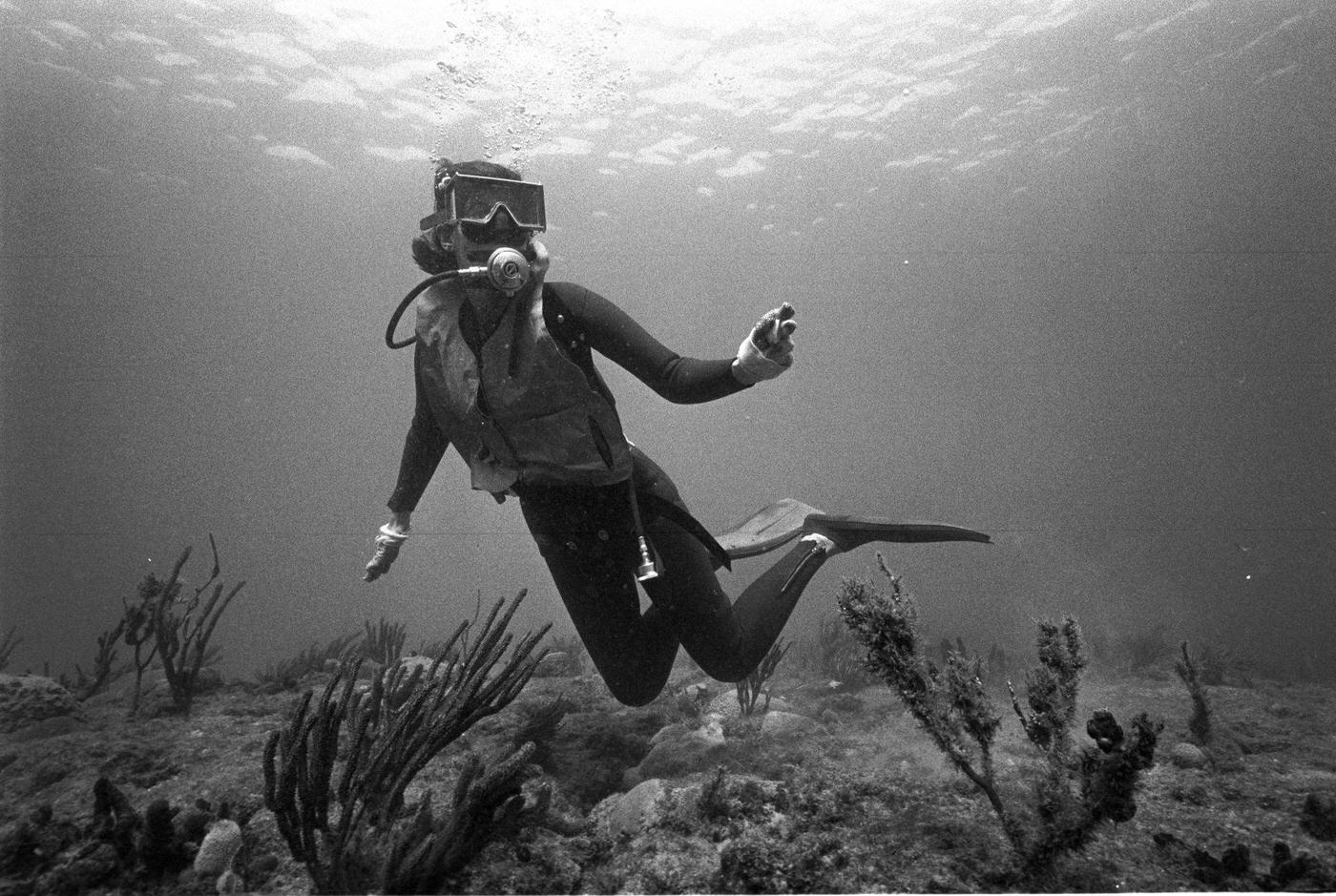 Scuba diver off the coast of Palm Beach, Florida
