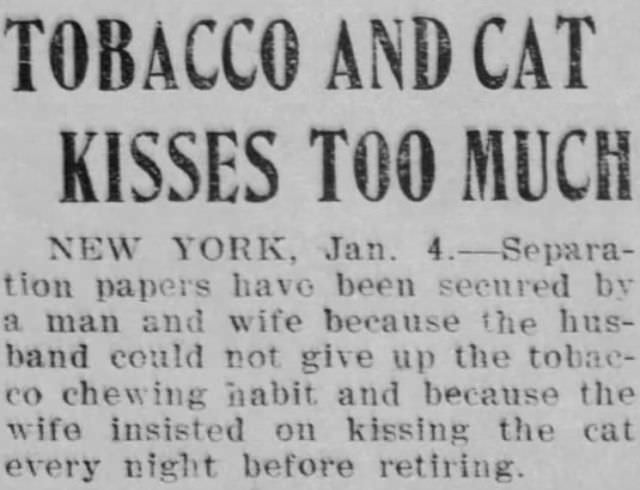 Evansville Press, Indiana, January 4, 1909.