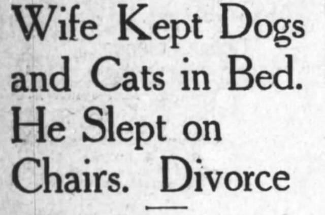 Oakland Tribune, California, February 27, 1909.