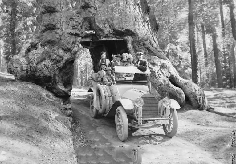 Tour bus traveling thru the Wawona Tunnel Tree in Mariposa Grove in Yosemite National Park, California, 1920s