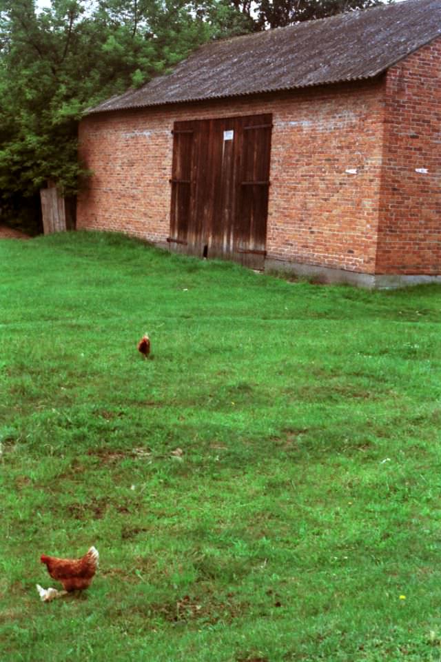 Polish countryside, 1989