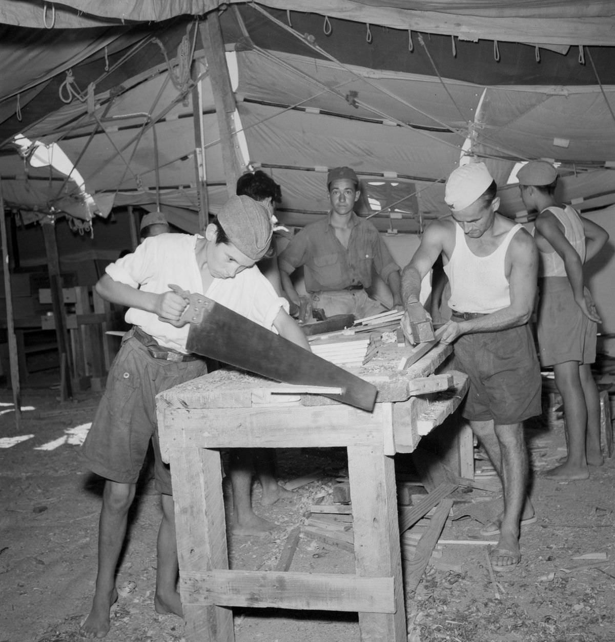 A Glimpse into the Lives of War Refugees: The El Shatt Camps in Egypt during WWII