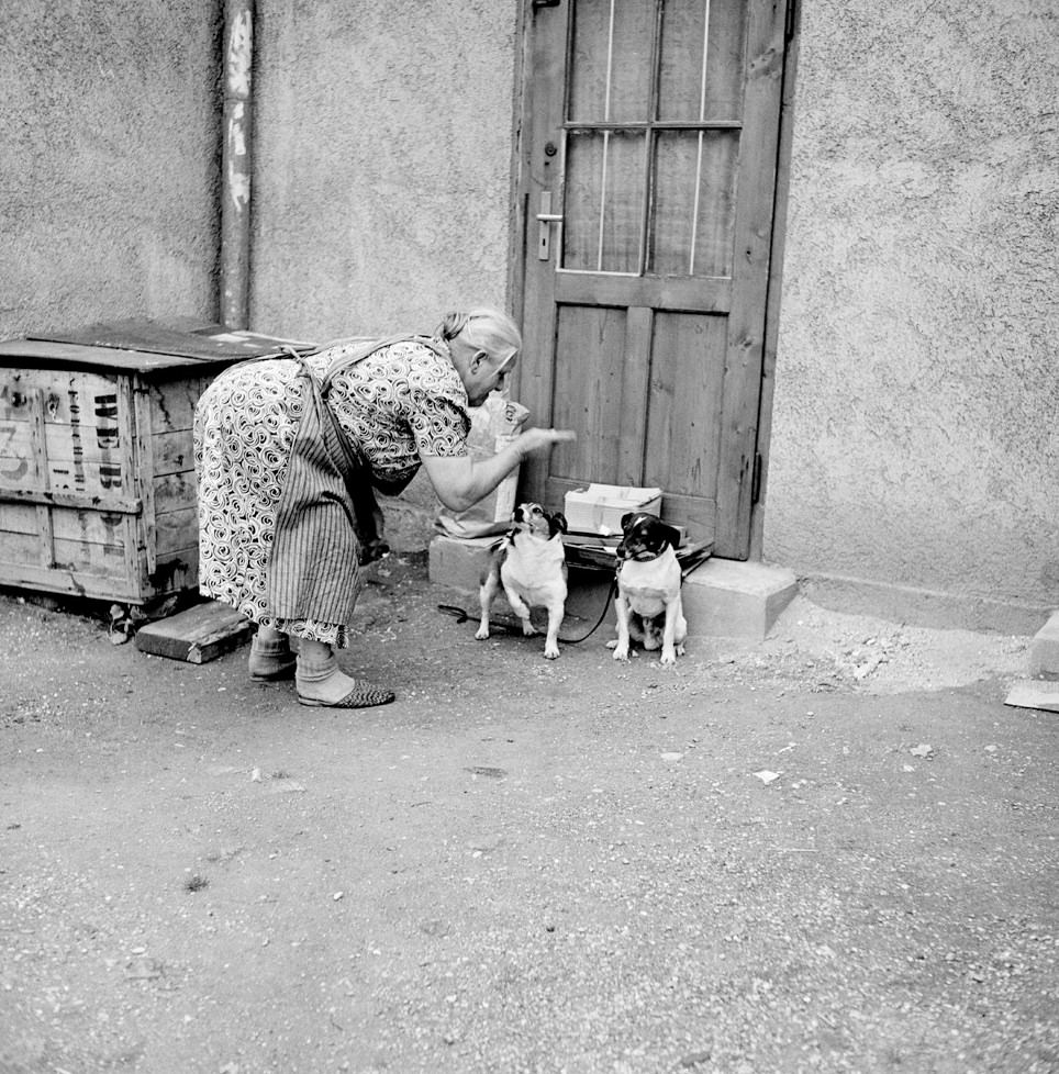 Naughty Dog, Germany, 1956