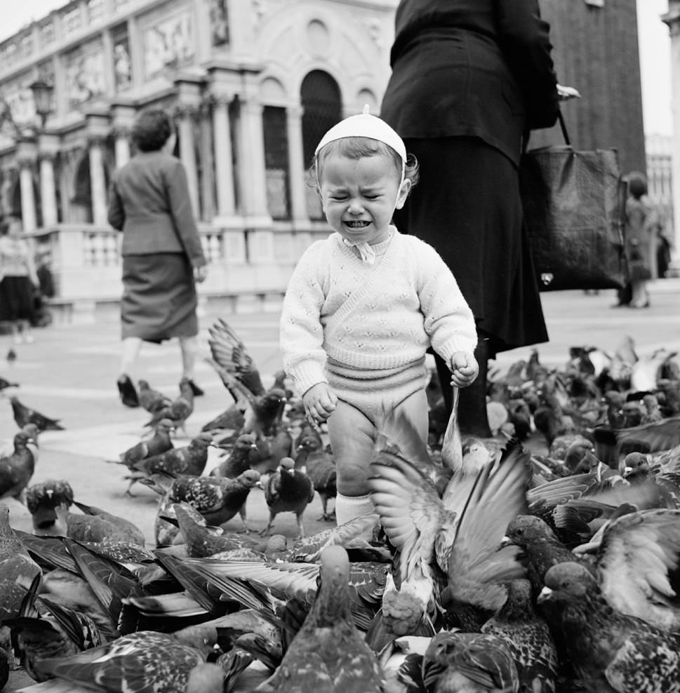 Pigeon Fright, Venice, 1956