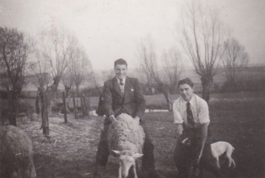 Uncovering the Dark Side of the Countryside: A Photographic Exploration of Farm Noir